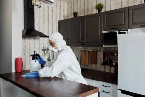 Read more about the article The best kitchen cleaning tips and tricks